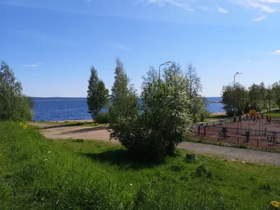 Уютная квартира на берегу Онежского озера — sm.webp