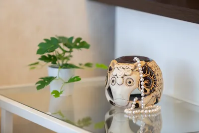 Новая студия на Лядова. Самостоятельное заселение — sm.webp