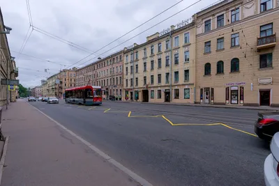 Маленькая Калифорния в Петербурге — sm.webp