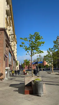 Квартира в доме у Кремля — sm.webp