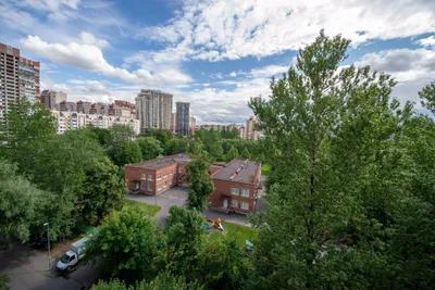 Cozy Apartment on Pulkovskaya — sm.webp