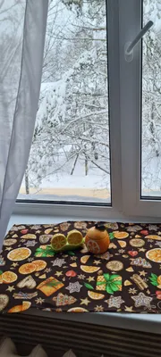 В центре Пушкиногорья — sm.webp
