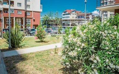 Квартира в ЦЕНТРЕ, с видом на МОРЕ и ГОРОД🏝️ — sm.webp