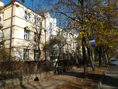 Каштановая Аллея — sm.webp