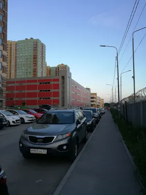 Апартаменты-студио на Пулковском шоссе 38/2 — xl.webp