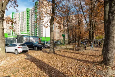 Студия "Островок уюта" у парка Галицкого. Сеть Мята — sm.webp