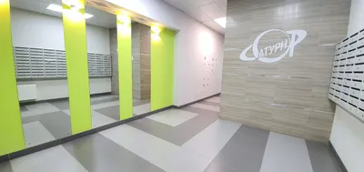 APART Крыша Мира в ЖК Арсенал — sm.webp