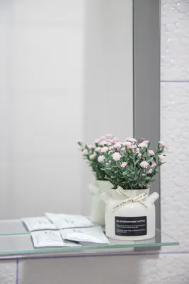 LovelyHome39 на Киевской 3 студия — sm.webp