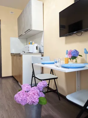 LovelyHome39 студия 2 на Аллее Смелых — sm.webp