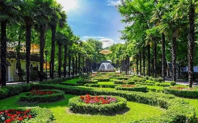 Квартира 1 комнатная Чайка — sm.webp
