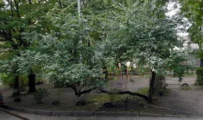 Аренда Рай у центрального рынка — sm.webp