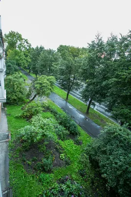 Аренда Рай у Верхнего озера — sm.webp