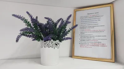 Квартира рядом с метро пр Славы — sm.webp
