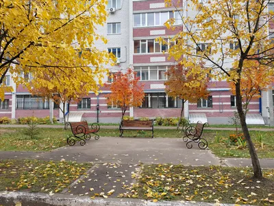 Квартира — sm.webp