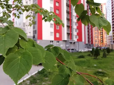 Аметьево Сьюит Хоум Казань | Homekazan — sm.webp