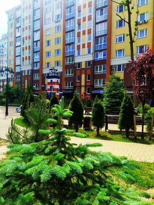 Апартаменты Holiday Home — xl.webp