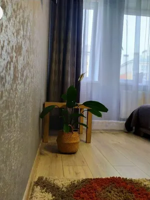 Апартаменты Holiday Home — sm.webp