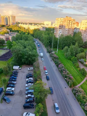 Альпийские луга — sm.webp