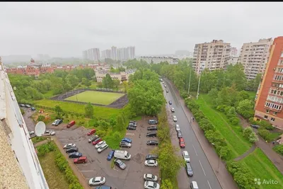 Альпийские луга — sm.webp