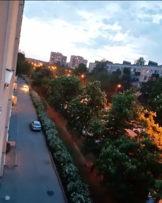 Охта  — sm.webp