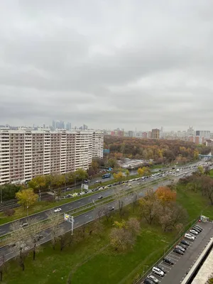 Уютная квартира с шикарным видом из окна — xl.webp
