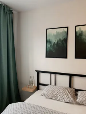 Студия Homely Forest в центре — xl.webp