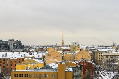 YOUR UNESCO APART на Петроградке — sm.webp