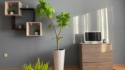 Airy bliss Двухкомнатные апартаменты для 6х — sm.webp