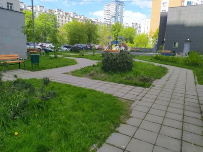 Лучшее предложение рядом с метро — xl.webp