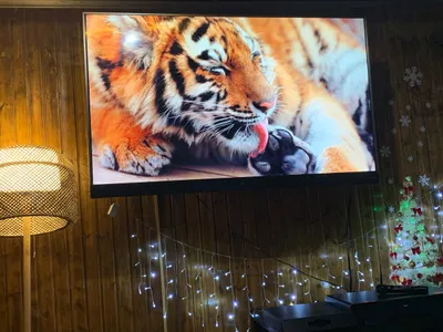 ⭐️⭐️⭐️⭐️⭐️ • VIP • БАНЯ НА ДРОВАХ• KARAOKE• PS5 • — sm.webp