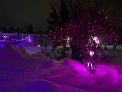 ⭐️⭐️⭐️⭐️⭐️ • VIP • БАНЯ НА ДРОВАХ• KARAOKE• PS5 • — sm.webp