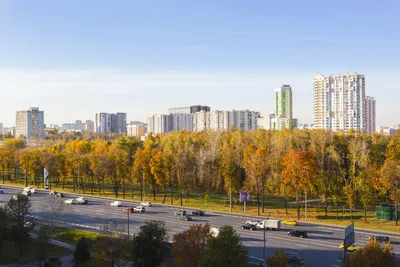 Уютная однокомнатная около м. Славянский бульвар — sm.webp
