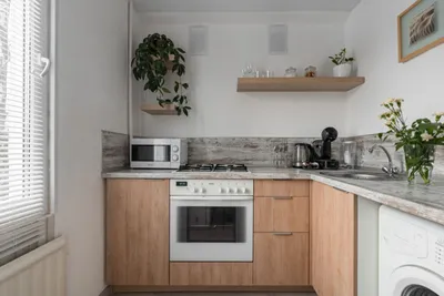 Lucky house 🏠 — sm.webp