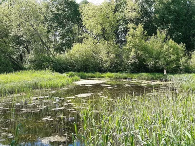 Deluxe Park View  — sm.webp