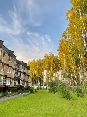 Прекрасная двушка в трехэтажном доме в Москве — xl.webp