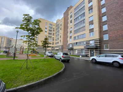 Квартира рядом с НИИ Петрова   — sm.webp
