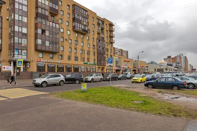 Квартира в 100 метрах от метро пр.Просвещения — sm.webp
