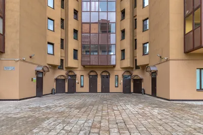 Квартира в 100 метрах от метро пр.Просвещения — sm.webp