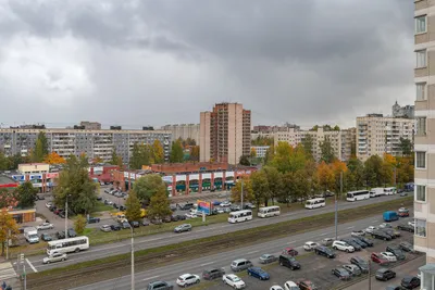 Квартира в 100 метрах от метро пр.Просвещения — sm.webp
