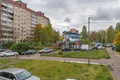 Квартира в 100 метрах от метро пр.Просвещения — sm.webp