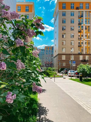 Rasskazovo Apartment — sm.webp