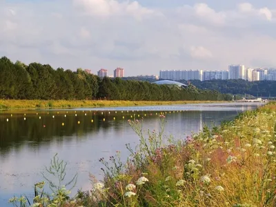 Элегантная квартира в новом доме — xl.webp