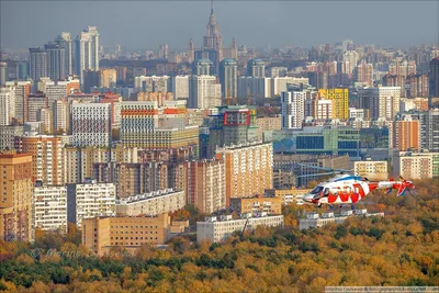 Элегантная квартира в новом доме — sm.webp