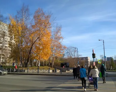 Современная квартира в центре Перми Rose Flower Apartment — sm.webp