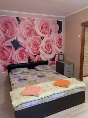 Квартира на сутки  — xl.webp