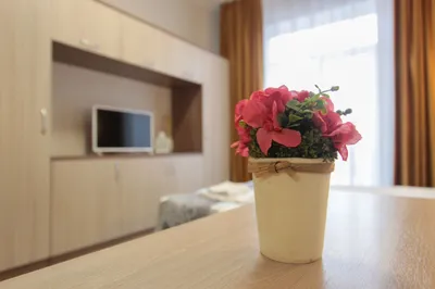 Полулюкс с двуспальной кроватью и лоджией — sm.webp