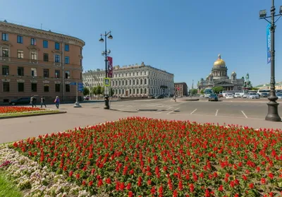 Квартира с панорамным видом на Мариинский дворец — sm.webp