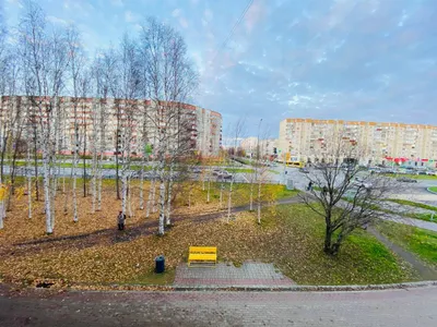  1-к квартира  возле Центра здоровья детей  — sm.webp