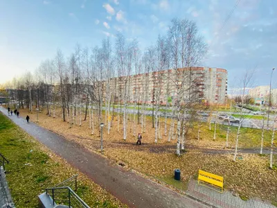  1-к квартира  возле Центра здоровья детей  — sm.webp