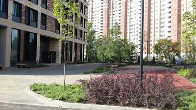 Большой апартамент у метро. Смольная 44 к1 9 эт — sm.webp